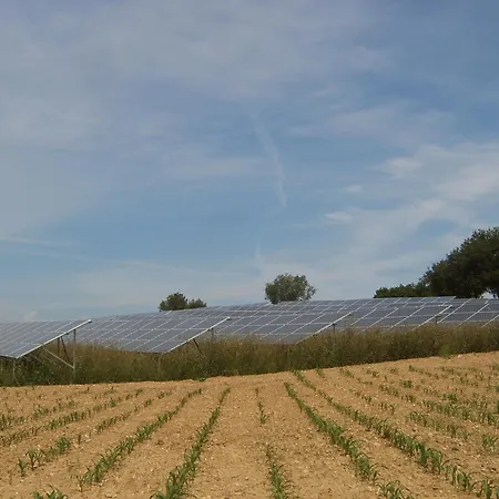 Farm stay Ca' Virginia Wellness *
